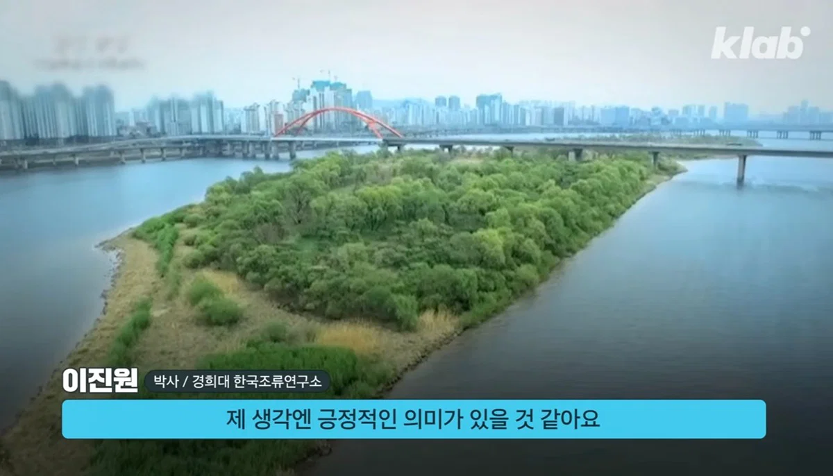 새들에겐 거의 전쟁난 수준이라는 불꽃축제 (58)