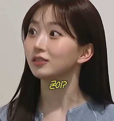 사실 루머공장이라는 나무위키 (22)