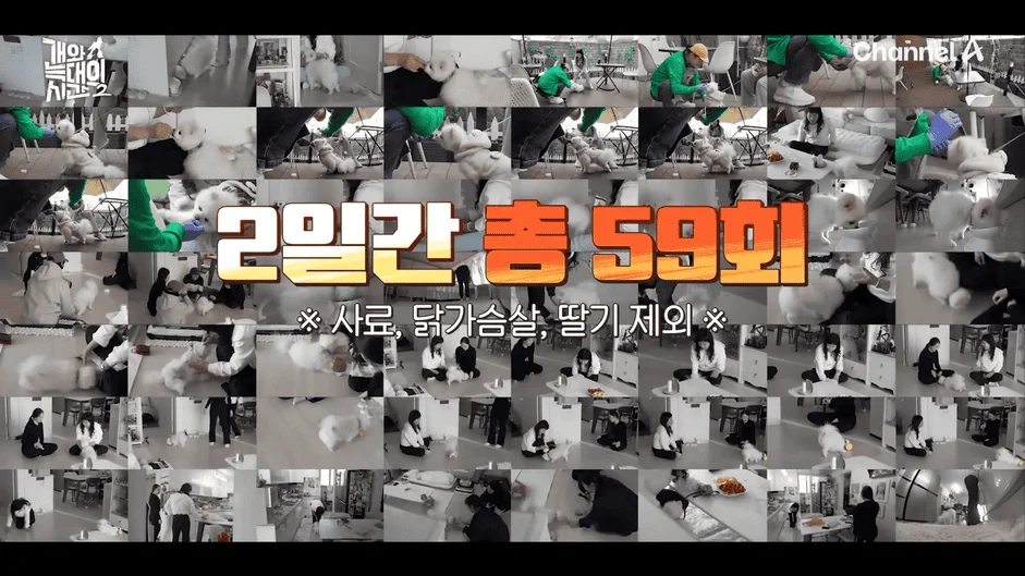 [#개와늑대의시간2] _저 같아도 물 것 같._ 하루에 개를 462번 부르는 보호자!_😨🚨 (귀에 딱지 앉을 듯.)🤕🐕 _ 개와 늑대의 시간2 17회 14-5 screenshot.png