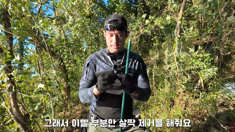 혐주의) 산왕거미를 생으로 먹어버린다는 국내 유튜버 (8)