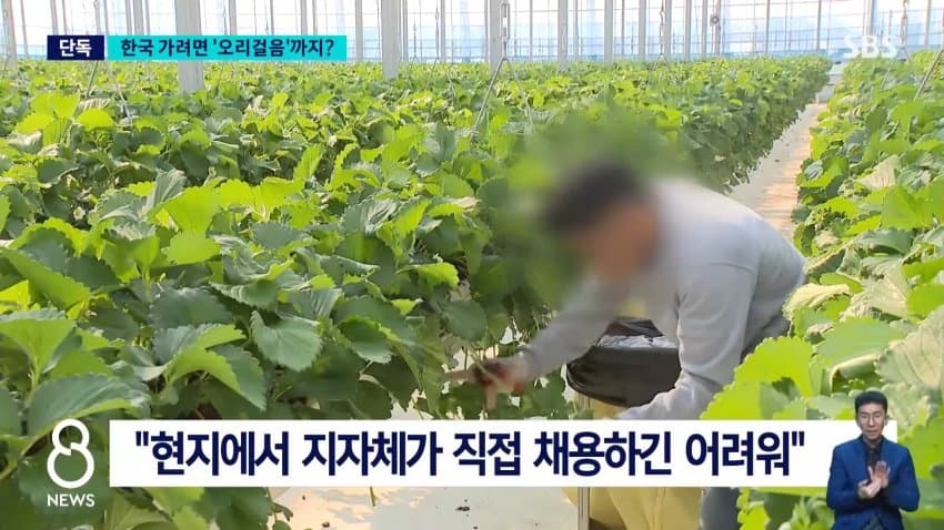 [단독] 지원자 줄지어 '오리걸음'…"못하면 탈락" 무슨 일 (20)