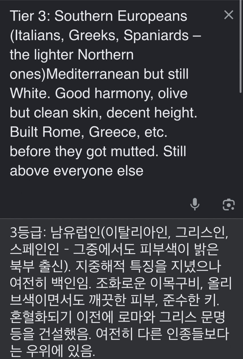 서양 커뮤에서 만든 인종 순위 20단계 (41)