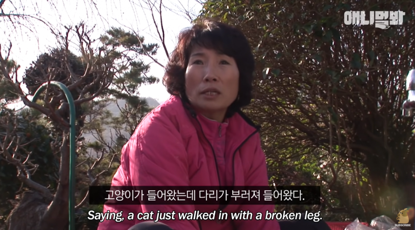 싱글벙글 자신을 치료해준 아재를 불길속에서 구한 털바퀴 (12)