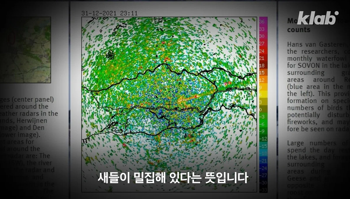 새들에겐 거의 전쟁난 수준이라는 불꽃축제 (25)