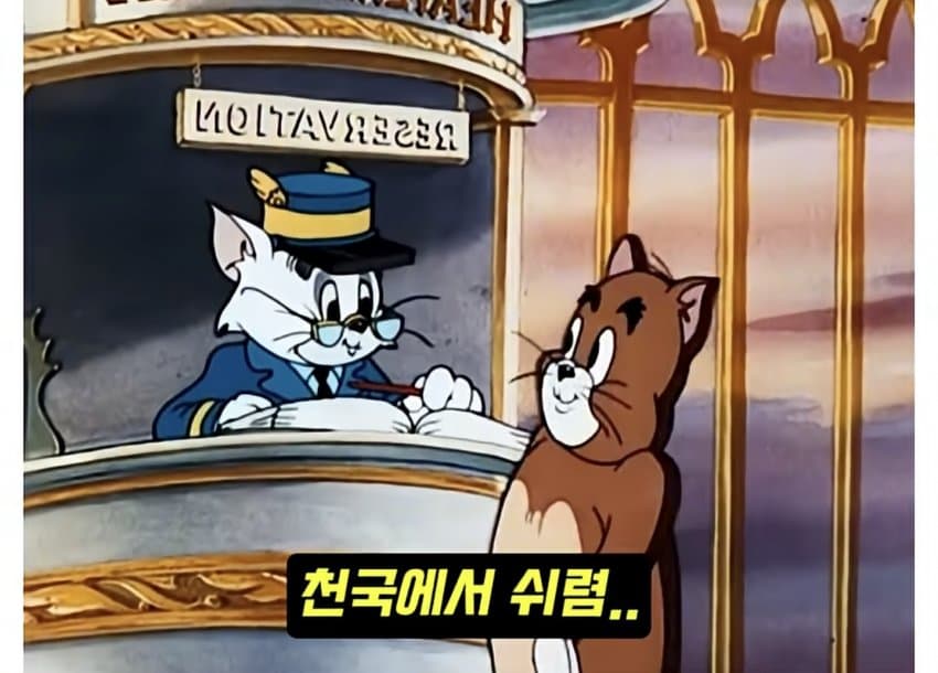 훌쩍훌쩍 톰과 제리 전설적인 장면.. (17)