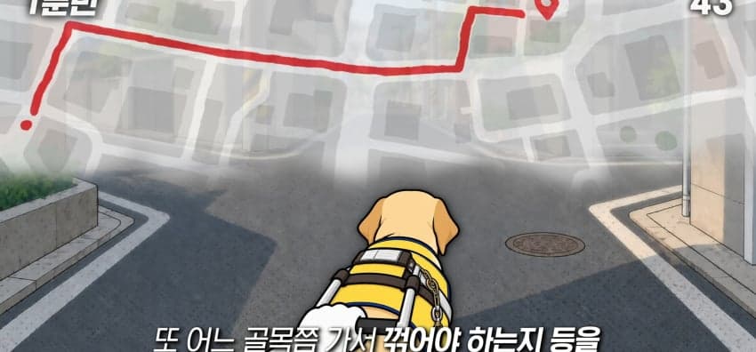 안내견은 목적지를 어떻게 아는 걸까? (11)