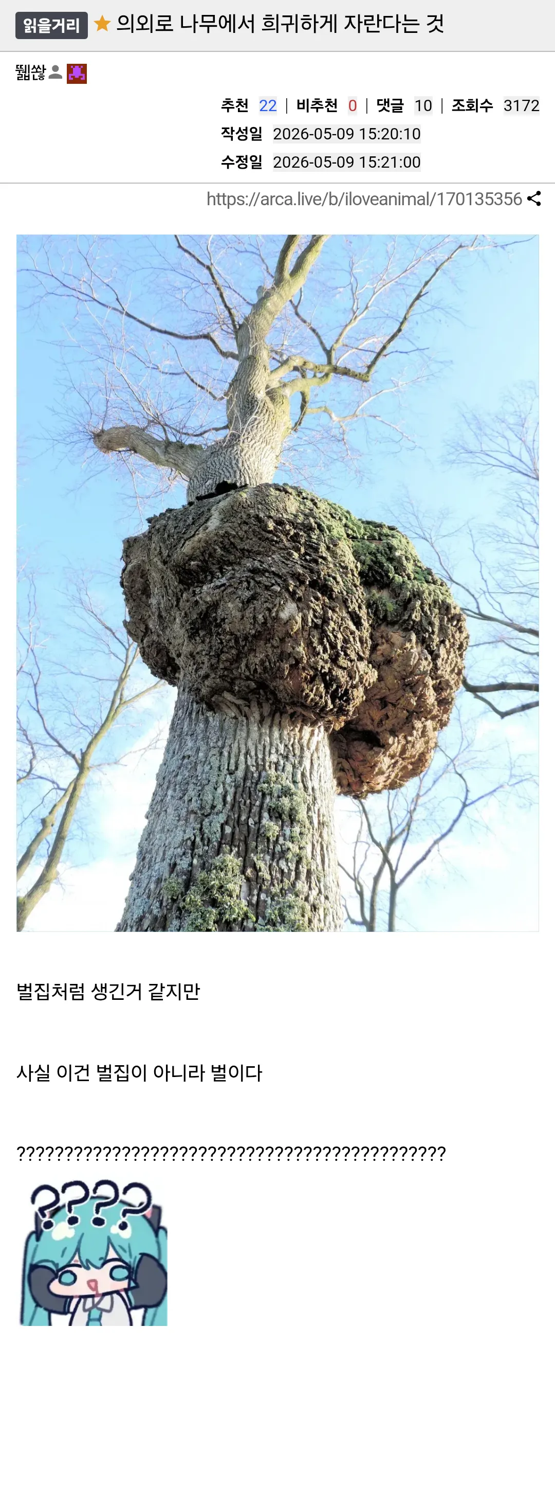 의외로 나무에서 희귀하게 자란다는 것