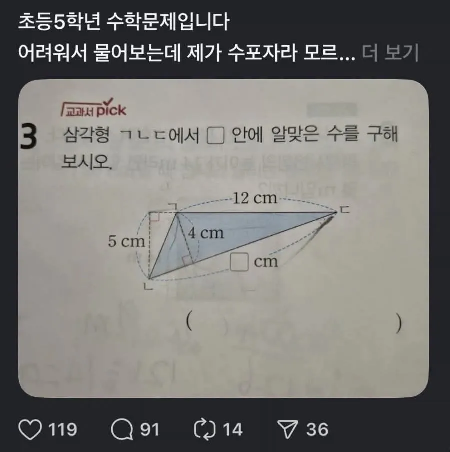 초등학교 5학년 수학문제 근황
