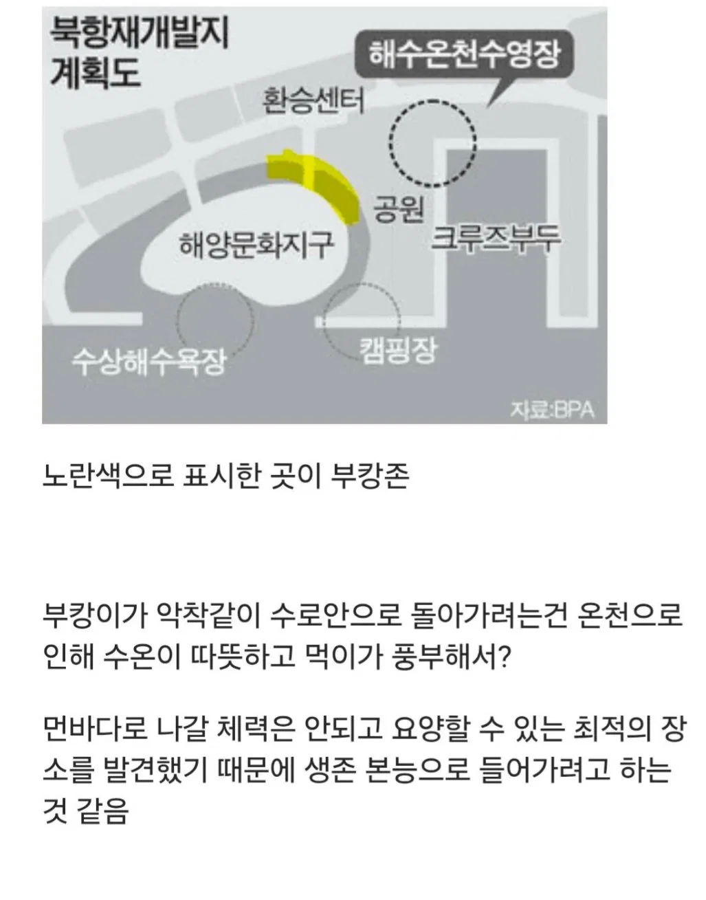 부캉이가 수로 안 나가는 이유에 대한 새로운 추측 (해수온천) (2)