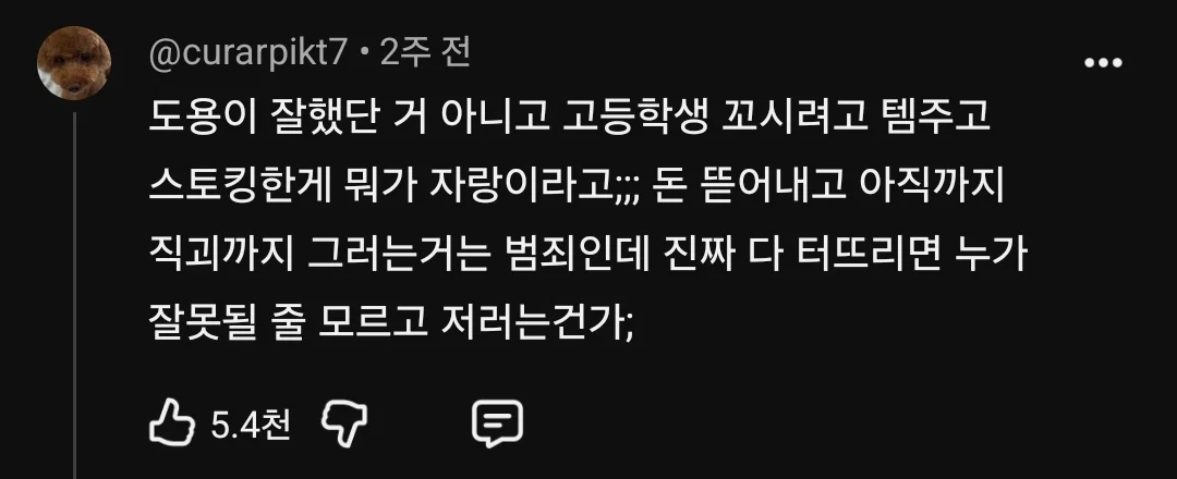 친구 사진 도용해서 남자들 털어먹었다는 여자한테 공감할 줄은 몰랐다는 유튜버 주둥이 (150)