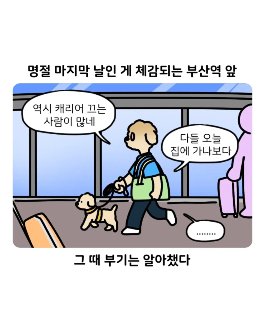 부캉이 보러갔다가 부산택시 경험한 만화 (9)