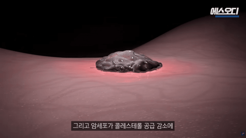 비아그라는 위대했다..역대급 암치료법 등장 (34)
