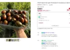 흑대추 방울토마토 500g 1-2번 로얄과