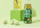 웅진식품 초록매실 스파클링 제로 350ml*20개(유/무라벨 랜덤발송)