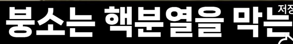 일본 (17)
