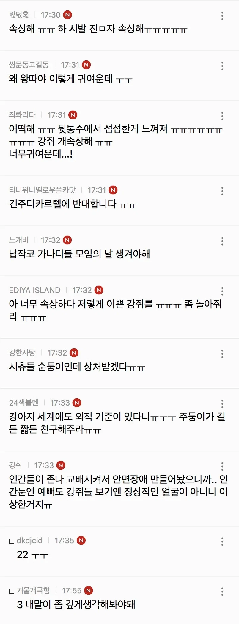 코 납작한 강쥐는 강아지들 사이에서 진짜 왕따.. (2)
