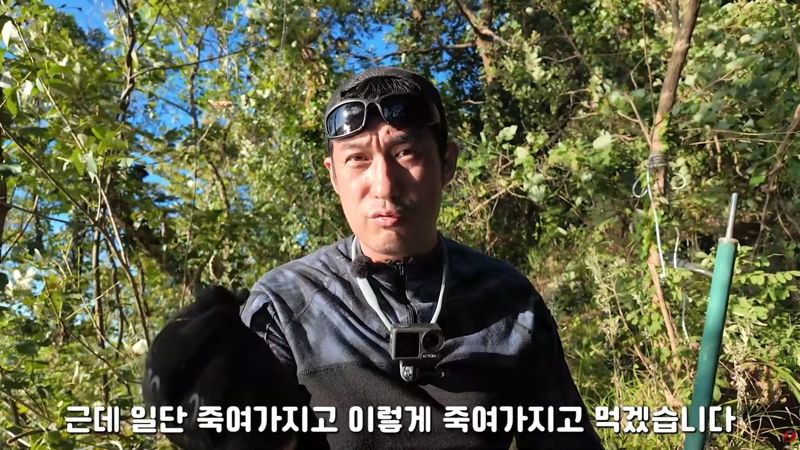 혐주의) 산왕거미를 생으로 먹어버린다는 국내 유튜버 (6)