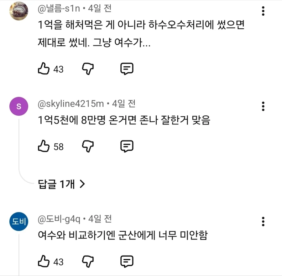 군산 짬뽕 축제 논란 (8)