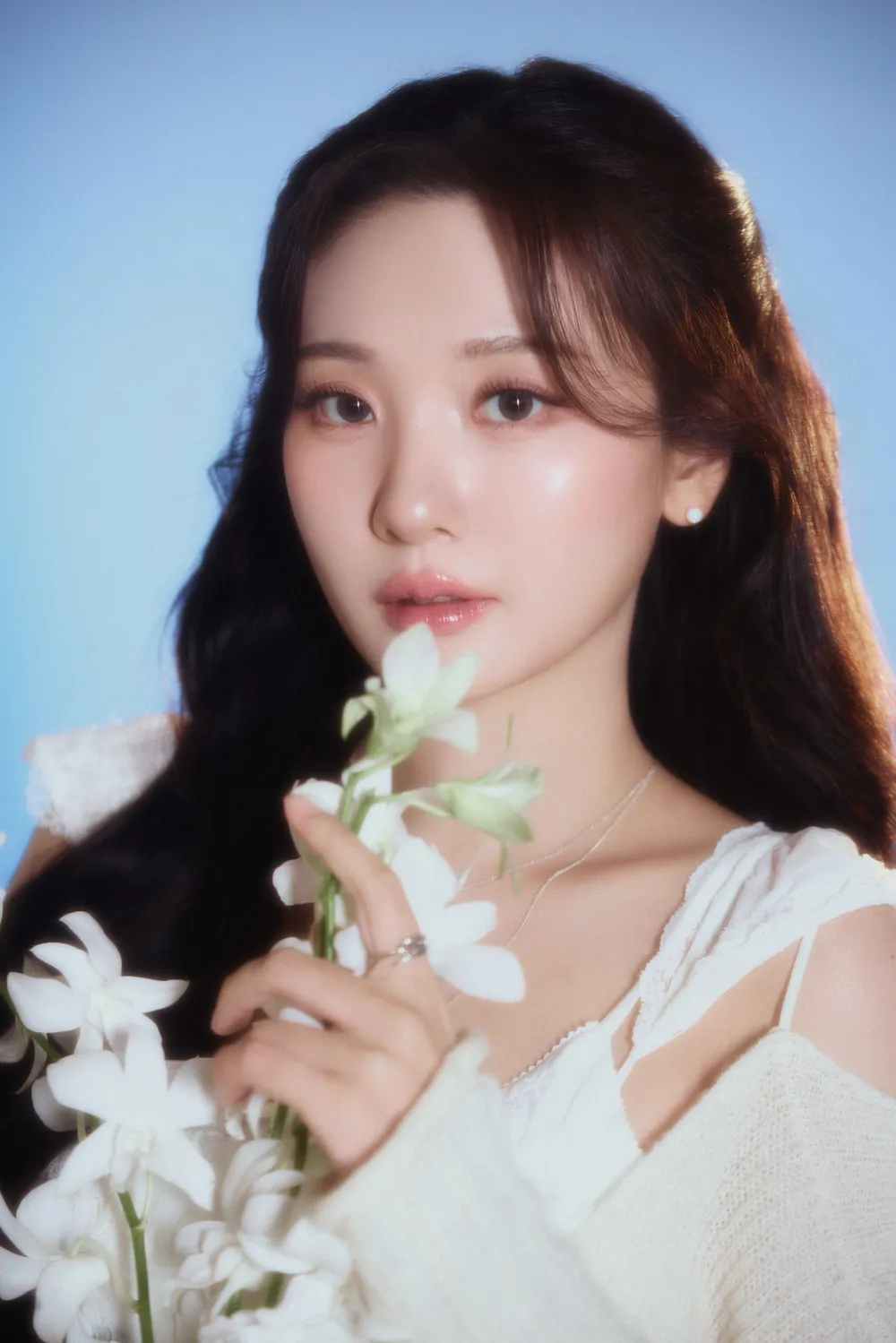 ‘안’씨 연예인 하면 가장 먼저 떠오르는 사람은? (19)