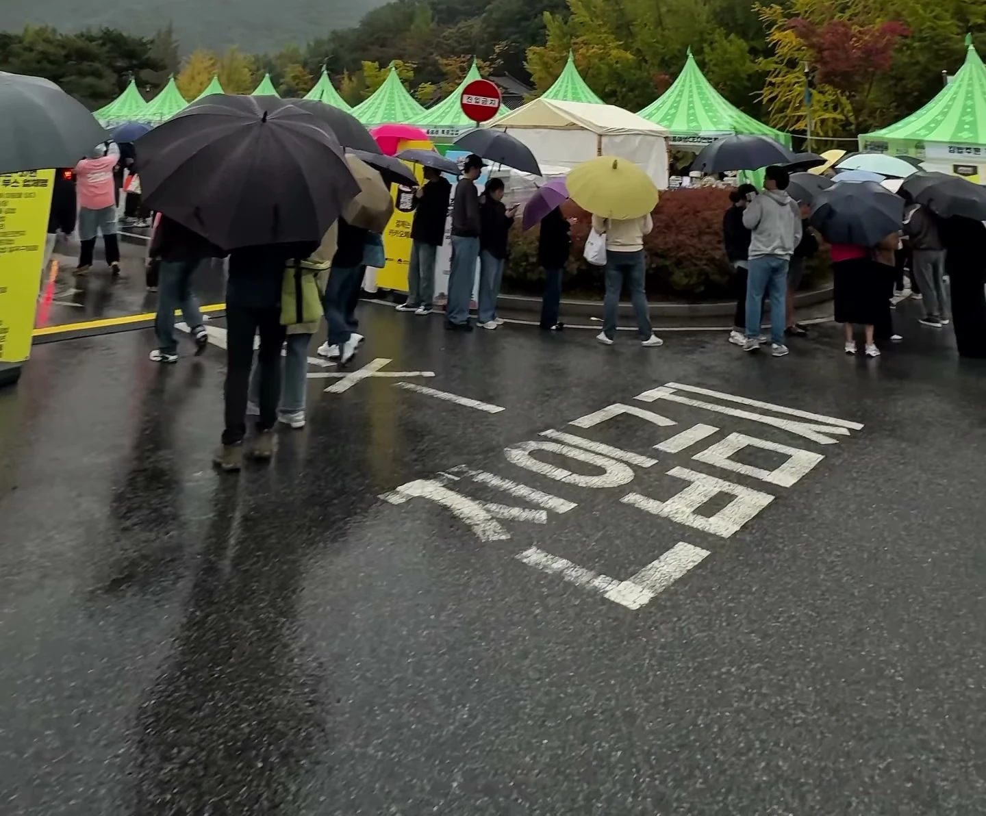 야 비오면 김밥축제 사람 없다고 한놈 나와!!!!! (4)