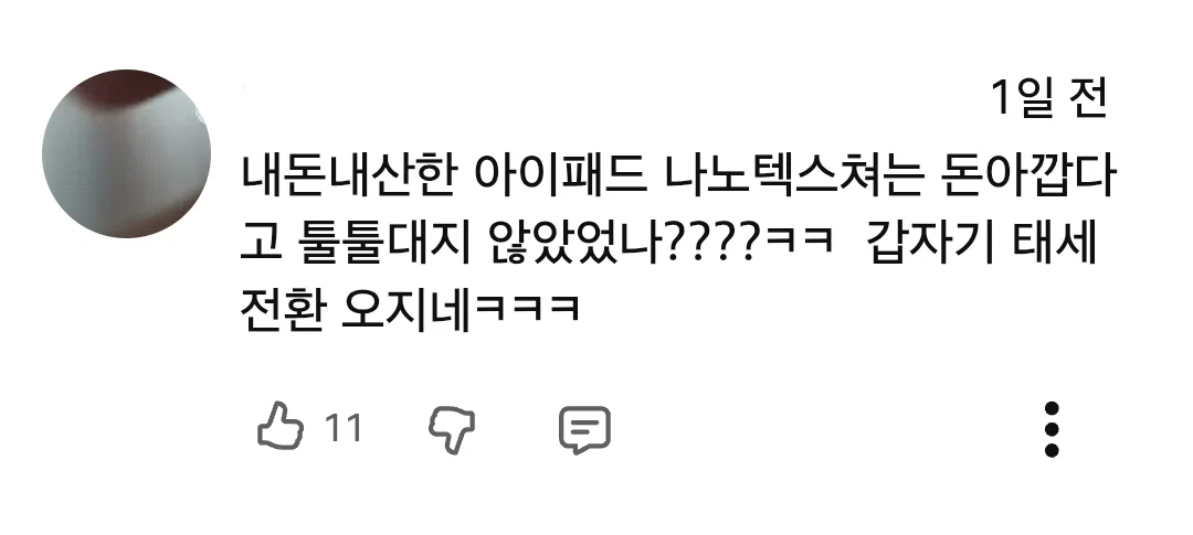 아이폰 듀오 리뷰 영상 반응 안 좋은듯한 잇섭 (23)