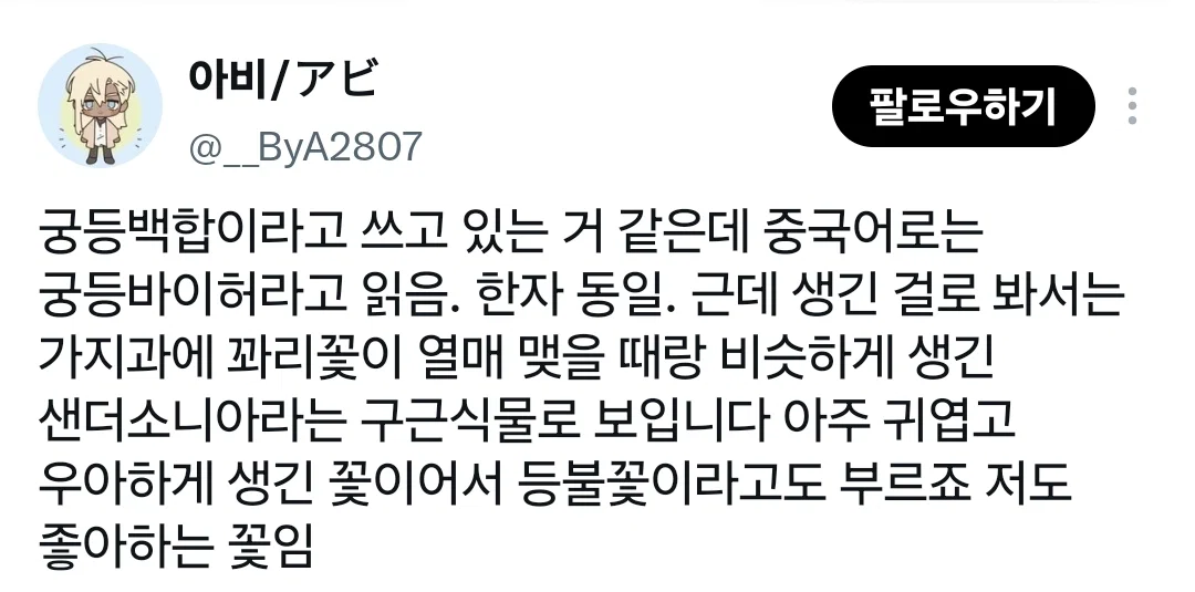 요즘 중국에서 생화계의 에르메스라 불린다는 꽃 (6)