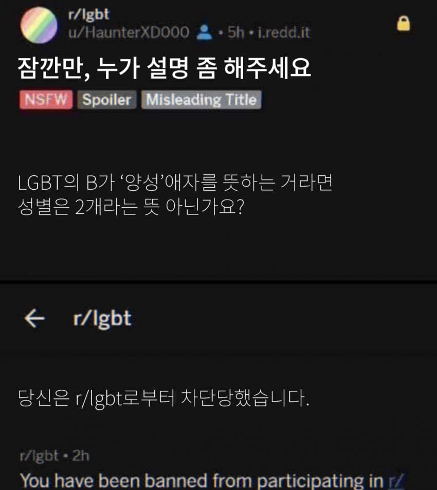(번역) 사회적으로 올바르지 않은 해외 밈 모음 (3)