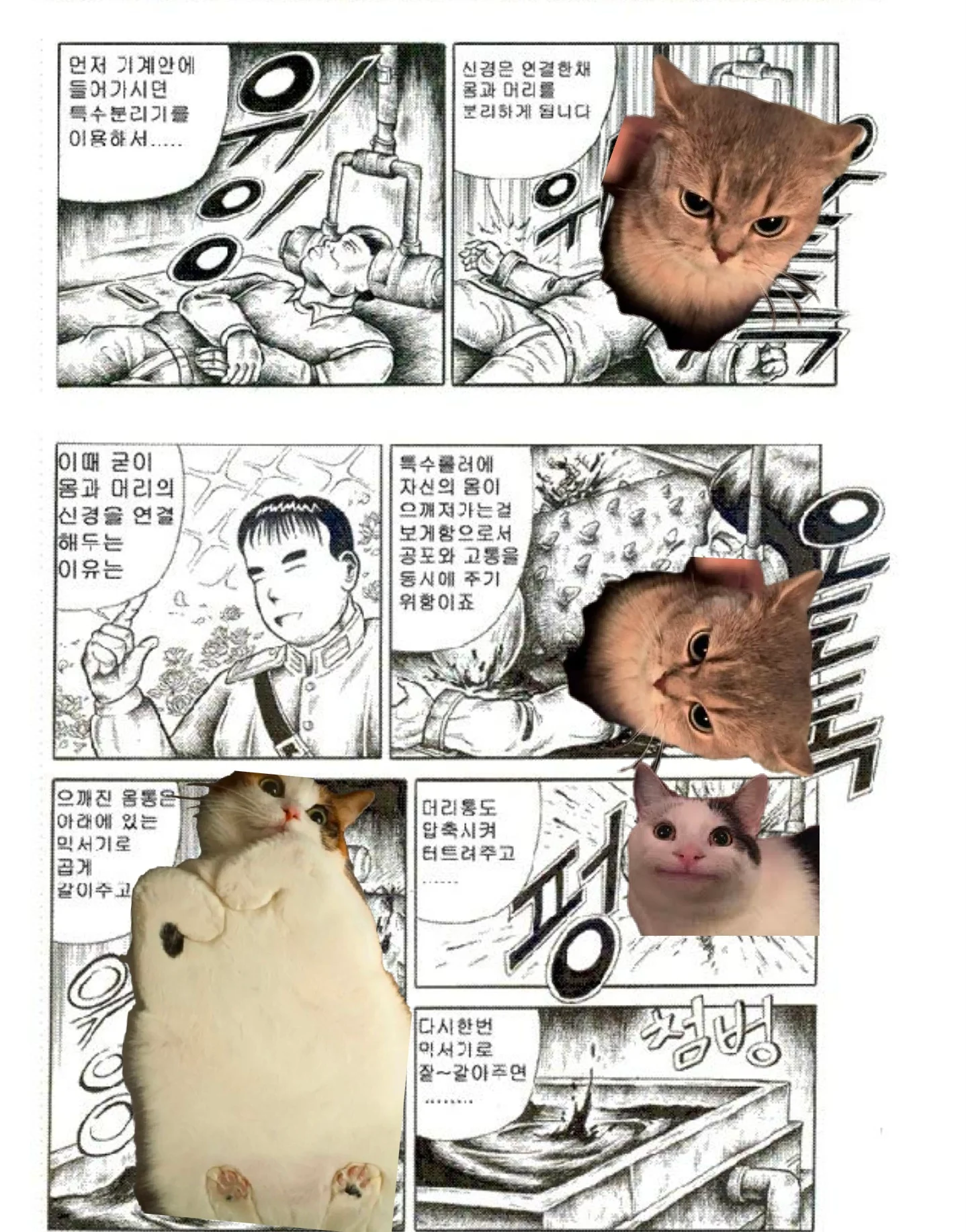 싱글벙글 북한 응원하는 애들이 맞이할 미래.manhwa (6)