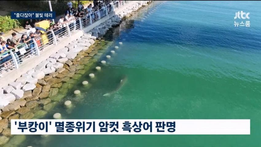 싱글벙글 부캉이 근황 (24)