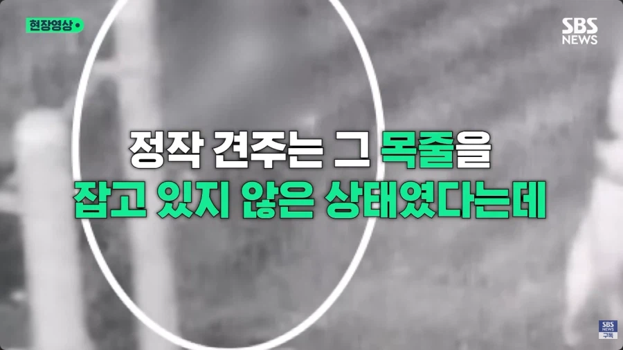 개물림 사고를 낸 견주의 황당한 주장 (6)