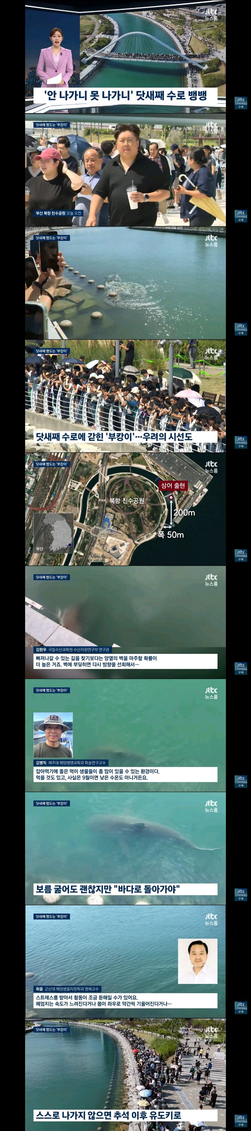 상어 부캉이 덕분에 함박웃음 짓는 죠스바 고래밥 핑크퐁