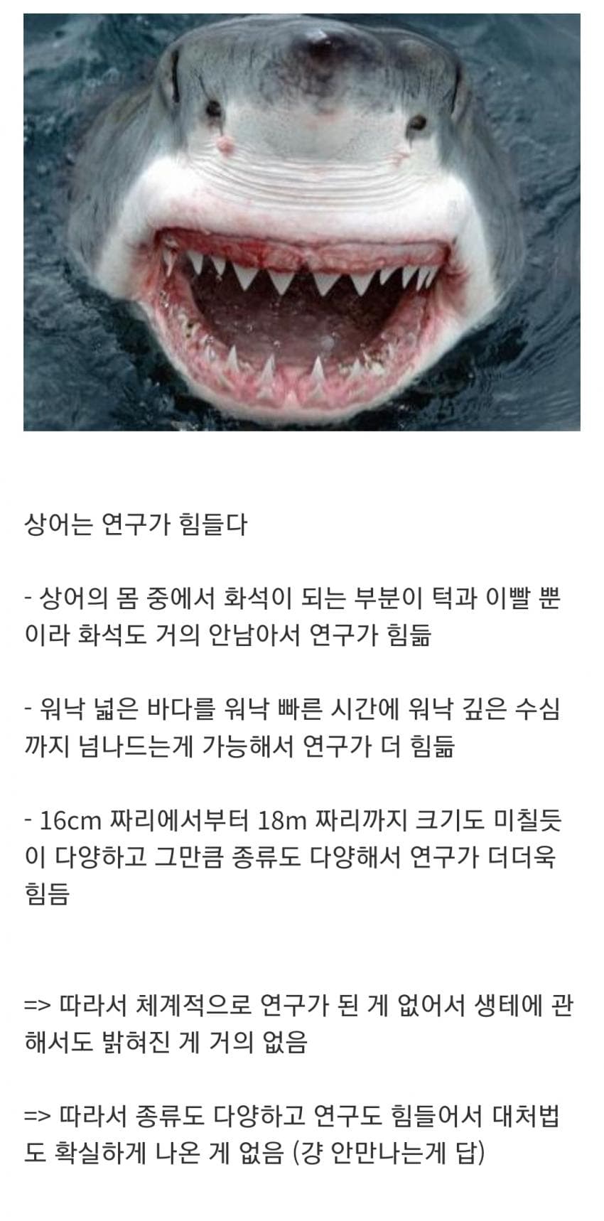 오싹오싹 인지도는 최고 수준인데 정작 알려진 건 거의 없는 생물 (3)