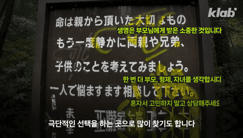 깜짝 .. 일본숲이 유독 무서운 이유 ㄹㅇ . (19)