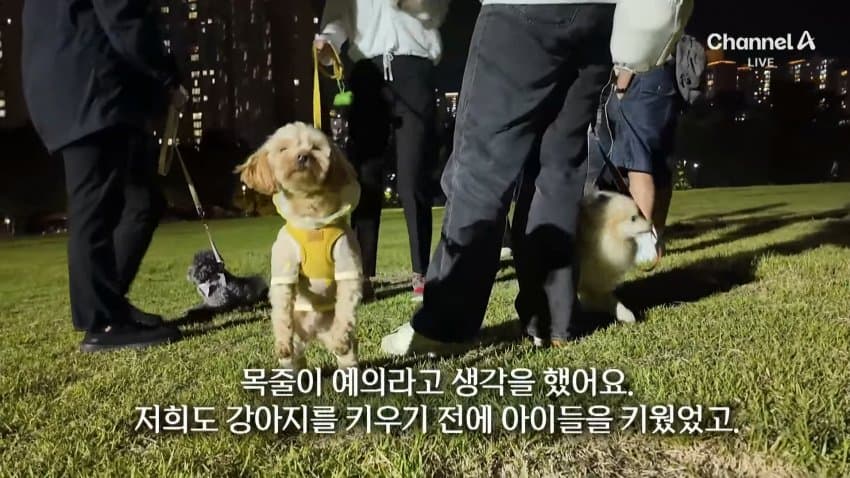 채널a) 단속원 퇴근하자...공원이 '개판' (35)