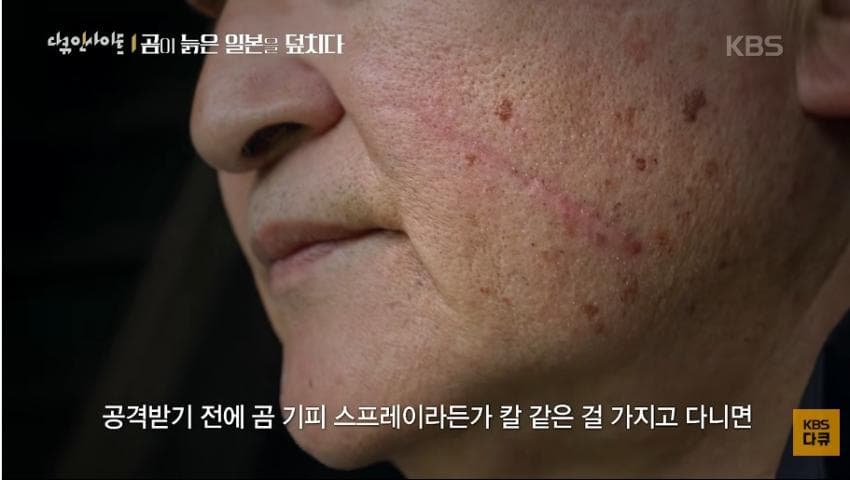 곰이 늙은 일본을 덮치다. 여고생 덮친 아키타 반달곰,, (25)