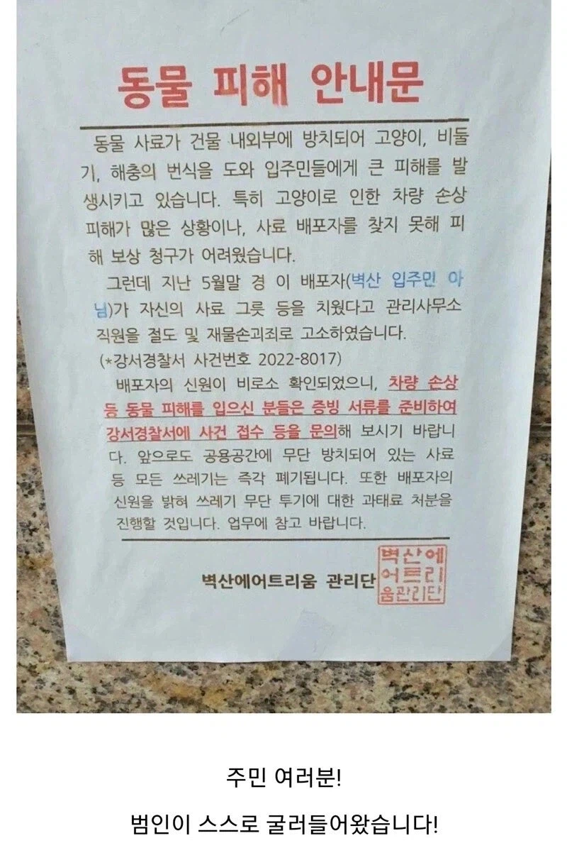 길고양이 밥주는 범인을 못찾아 곤란해하던 관리사무소