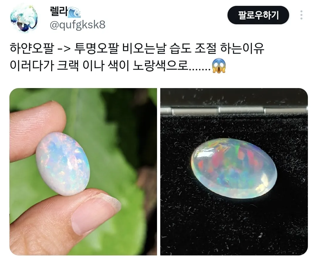 요즘 미쳐버린 한국의 습도에 영롱해진 보석.twt