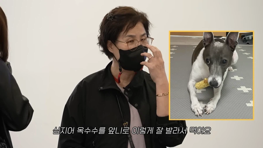 개가 살찐 이유 (6)
