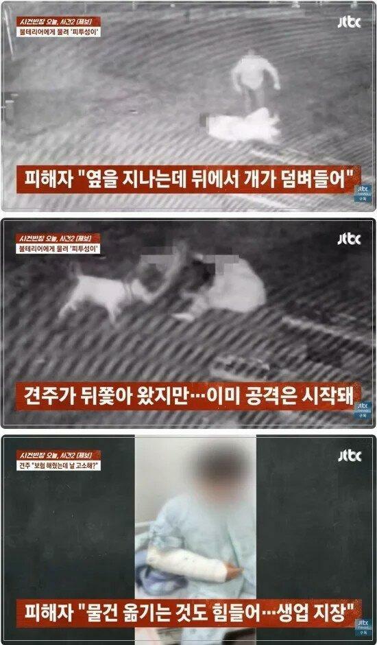 피해자는 산책하다가 맹견의 공격에 피투성이..., 견주는 오히려 맞고소... (2)