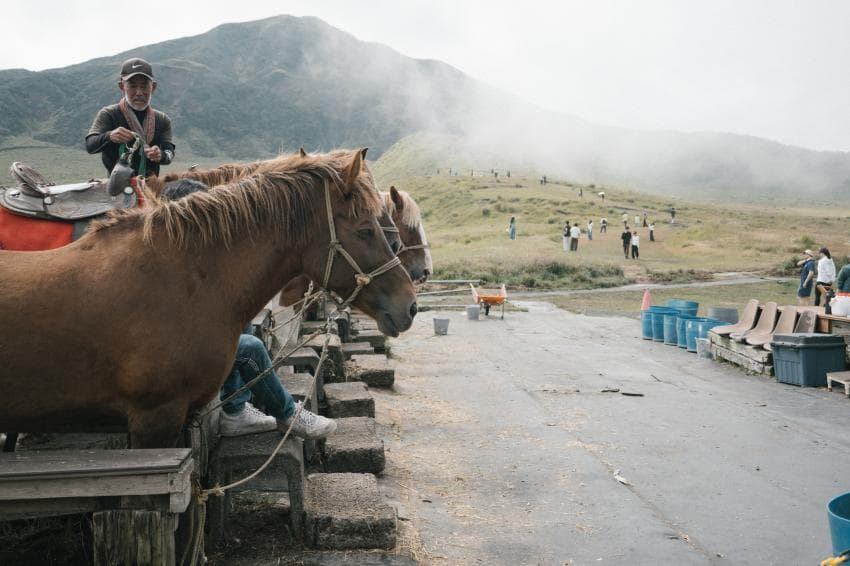 v1이랑 x100v로 찍은 사진인데 평가 좀 부탁드립니다 (18)