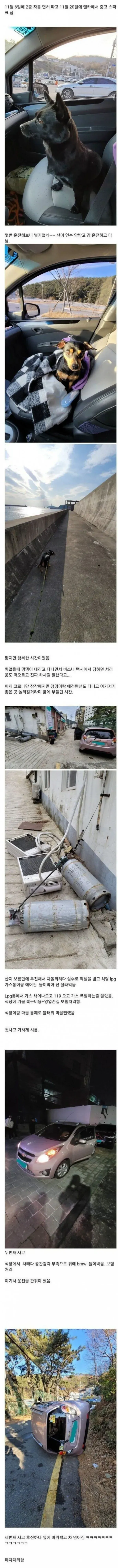 면허 따고 2주만에 폐차 함ㄷㄷ
