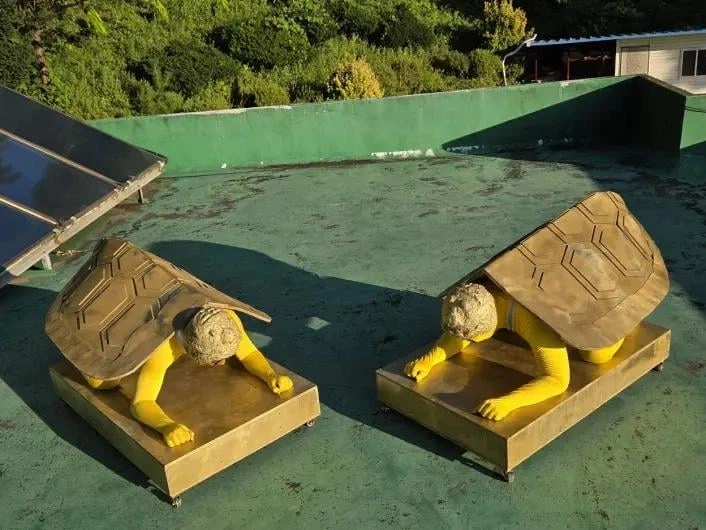 레딧에서 좋아요 36000개 받은 한국 코스프레 (5)