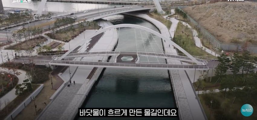 상어 한마리에 3만명 몰려, 부산 명소가 된 북항 (13)