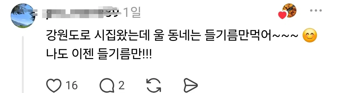 강원도는 참기름 잘 안 써..? (7)