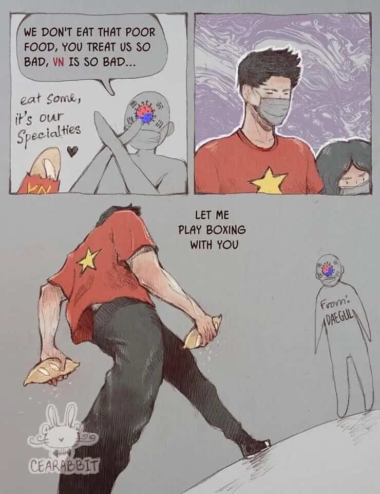 K-국뽕을 그대로 수입한 V-국뽕 (7)