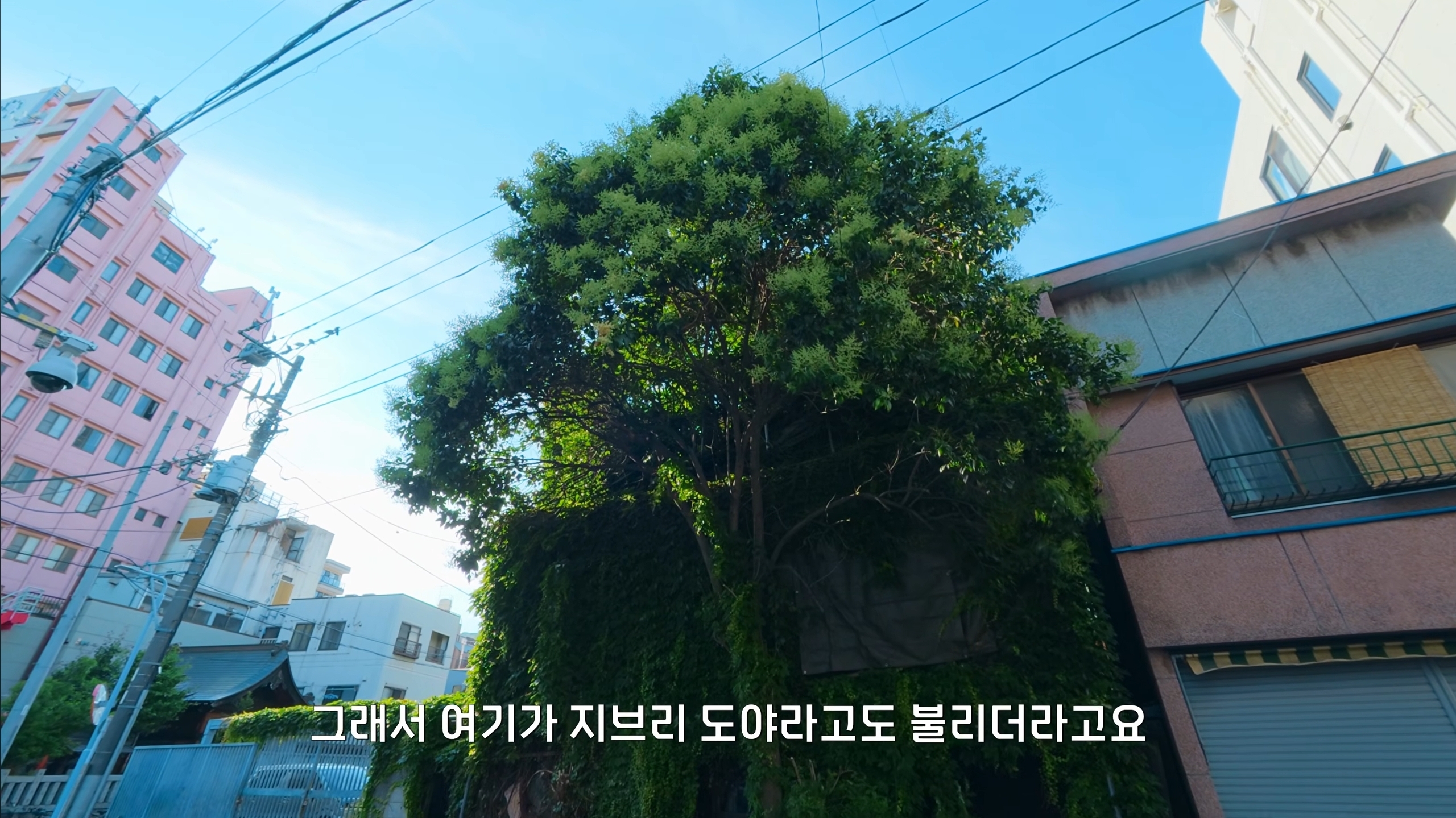 한국인에게 미안하다는 일본 할아버지 (2)