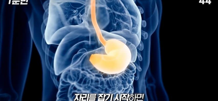 먹자마자 바로 화장실 가는 사람은 뭘까? (9)