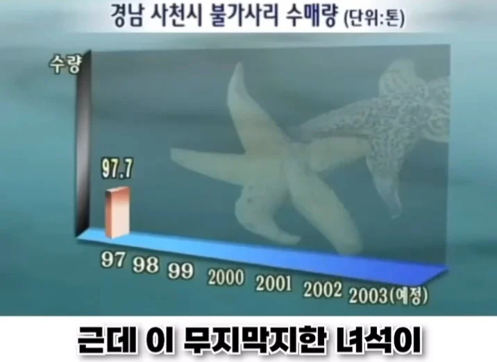 우리나라로 넘어온 바다의 무법자 불가사리의 최후 (10)