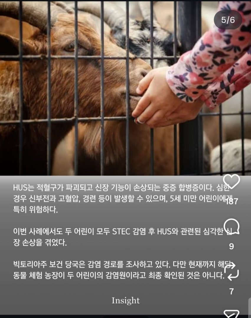 동물 만졌을 뿐인데... 어린이 2명 뇌 손상, 신부전 '위중' (5)