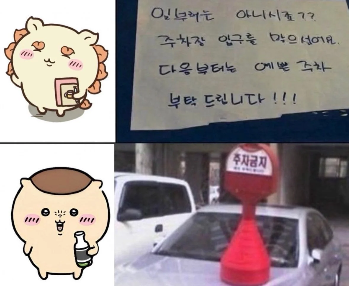 주차를 ㅈ같이 한 차를 본 치이카와들 (4)